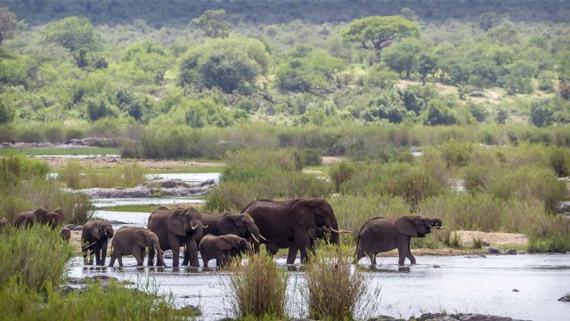 2 Kruger National Park -1.jpg